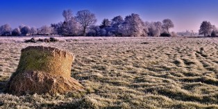 Frost in Rorichmoor
