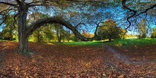 Tour Schlosspark Putbus