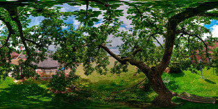 Apfelbaum
