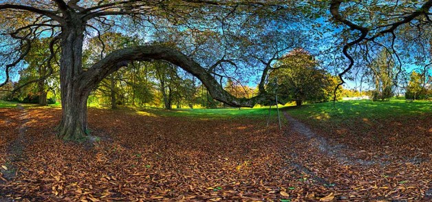 Tour Schlosspark Putbus