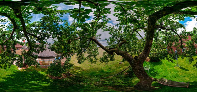 Apfelbaum