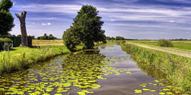Hauptwieke