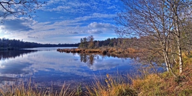Am Wolfsmeer