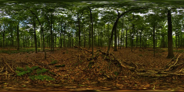 Waldplanet